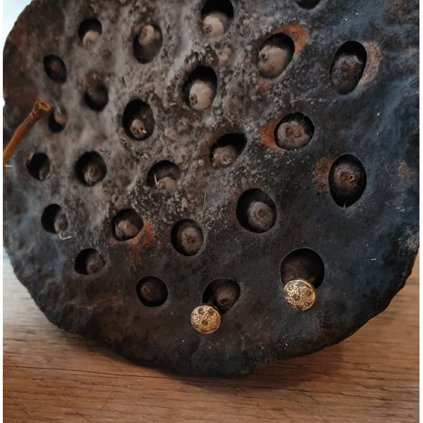 5 Octobre auskarai su deimantais Oreille  DYE2